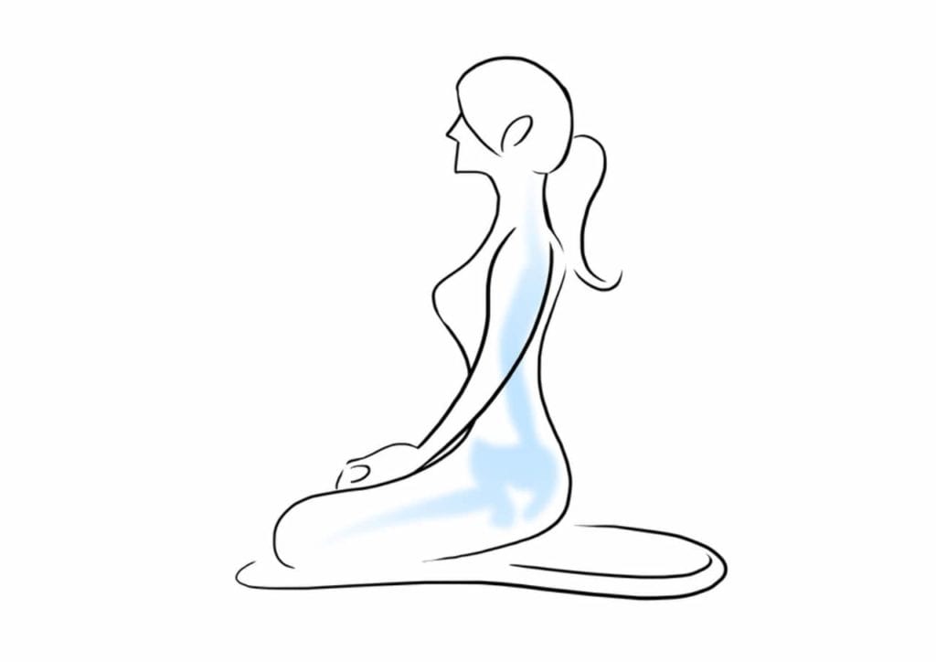 Meditation Positions - Straight back