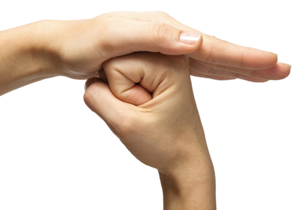 Meditation Positions - Hand position Shield of Shambhala