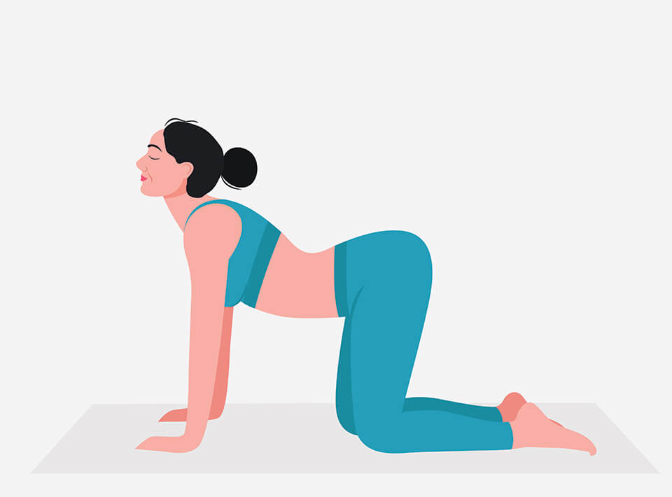 Cow Pose - Chakra Yoga