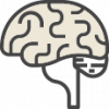 Brain Boost Memory